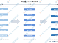 2022年中国智慧农业产业市场前景及投资研究报告