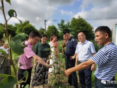 上海市金山区农业农村委领导参观月财生态