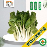 有机黄心乌菜