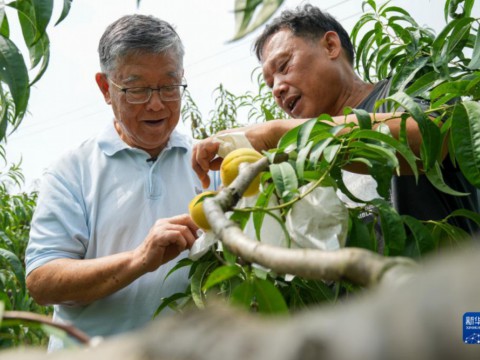 赵亚夫：走好科技兴农富农路