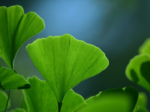 筑牢健康中国的家庭基石