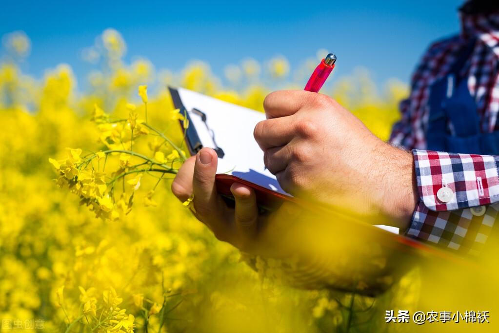 有机农业未来趋势_属于商业银行未来经营趋势的有_国世平教授为您解读2014年未来房式的发展趋势