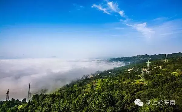 商业银行未来经营趋势_未来民航业的发展趋势_有机农业未来趋势