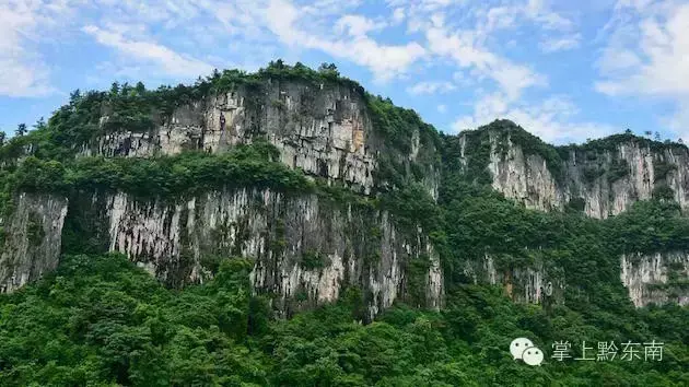 商业银行未来经营趋势_未来民航业的发展趋势_有机农业未来趋势